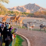 Al Ain Zoo UAE