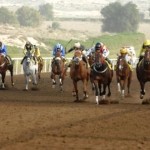 Jebel Ali Racecourse 5