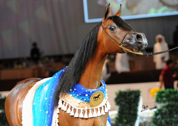 Dubai Horse Championship & Fair